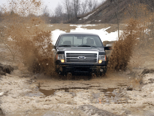 ford f-150 platinum pic #51539