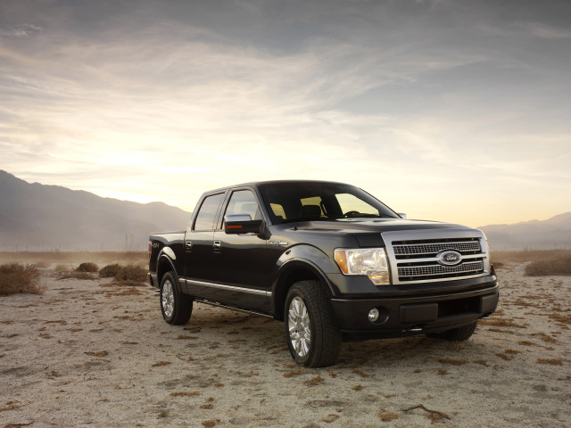 ford f-150 platinum pic #51541