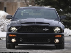 Mustang Shelby GT500KR Glass Roof photo #51601