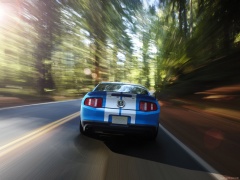 Mustang Shelby GT500 photo #60620