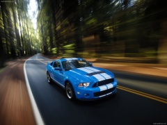 Mustang Shelby GT500 photo #60626