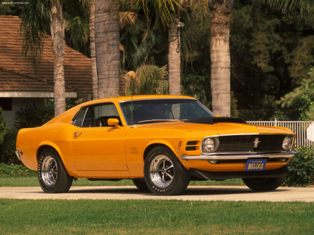 ford mustang boss 429 pic #70219