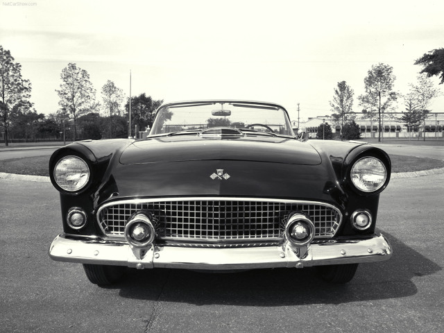 ford thunderbird pic #83961