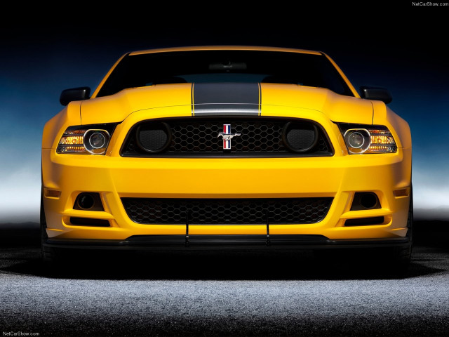 ford mustang boss 302 pic #86580