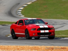 ford mustang shelby gt500 pic #92047