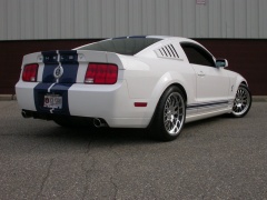 stangnet design mustang shelby gt500 pic #44687