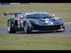 Ford GT3 photo #44868