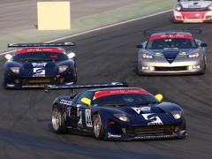 Ford GT3 photo #55301