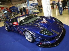Ford GT3 photo #55302