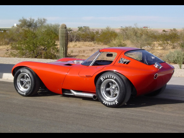 cheetah coupe pic #54617