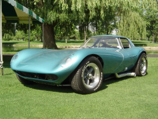 Cheetah Coupe
