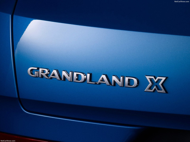 opel grandland x pic #182247