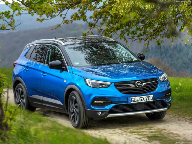 opel grandland x pic #182280