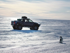 arctic trucks toyota hilux pic #71426