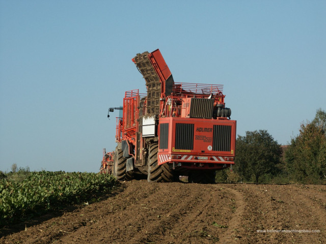 holmer terra dos pic #70068