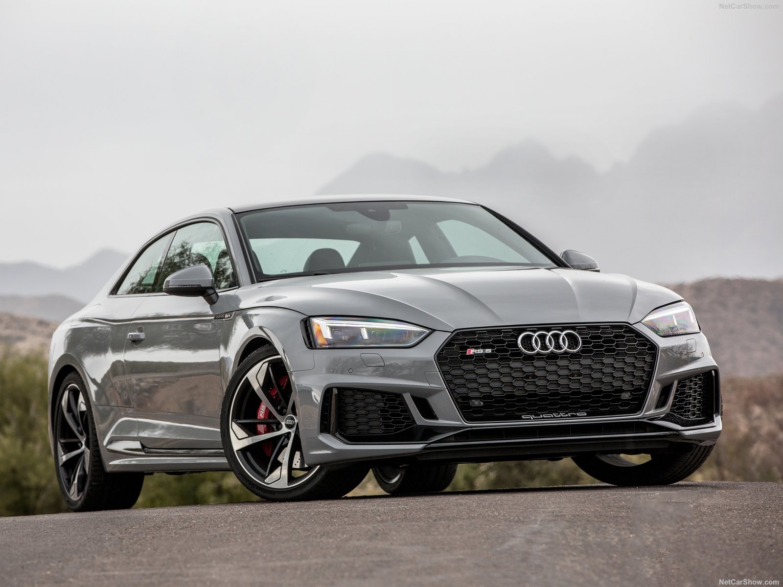 Audi RS5 Coupe photo 186977