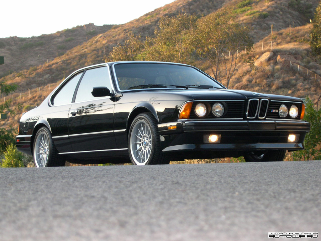 BMW M6 E24 photo 63807