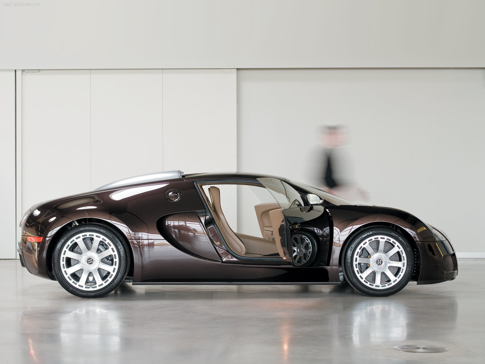 Bugatti Veyron Fbg par Hermes photo 53259