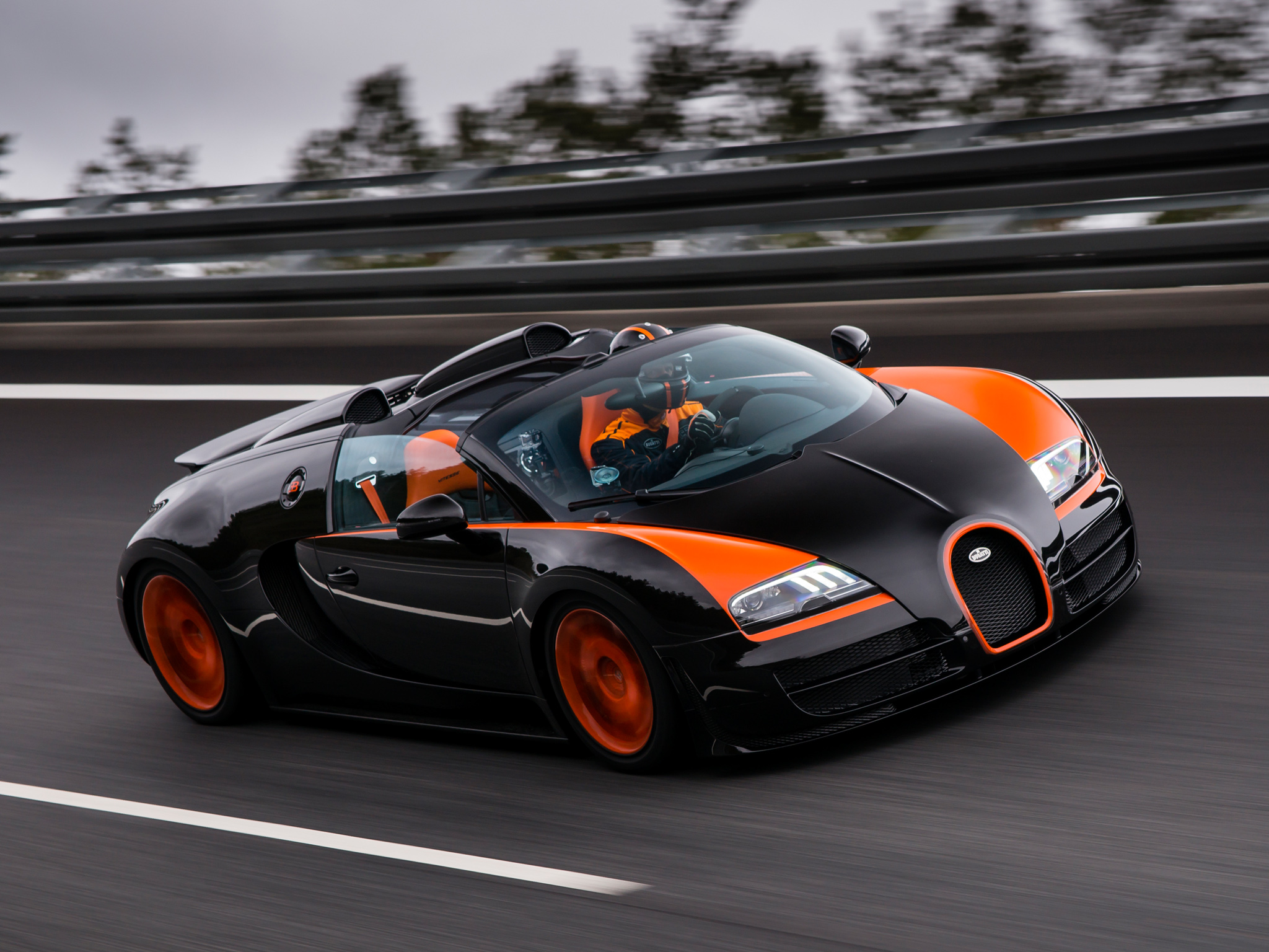 Bugatti Veyron photo 100208