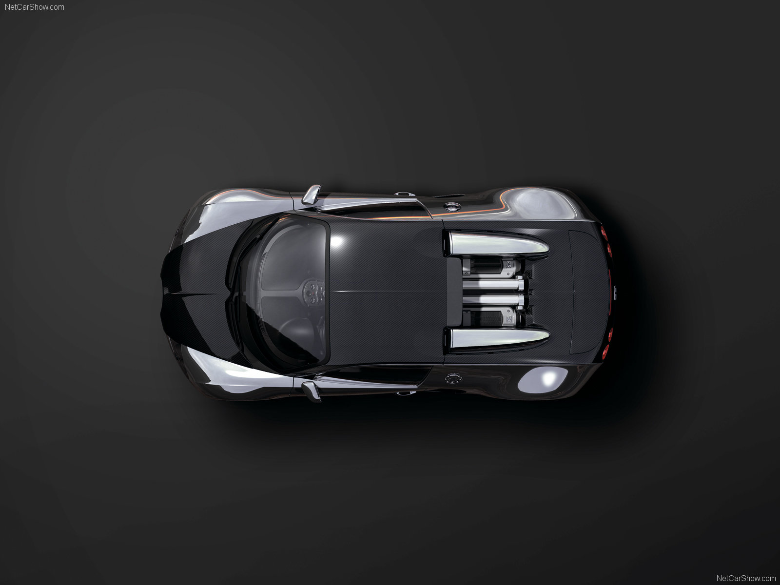 Bugatti Veyron Pur Sang photo 47539