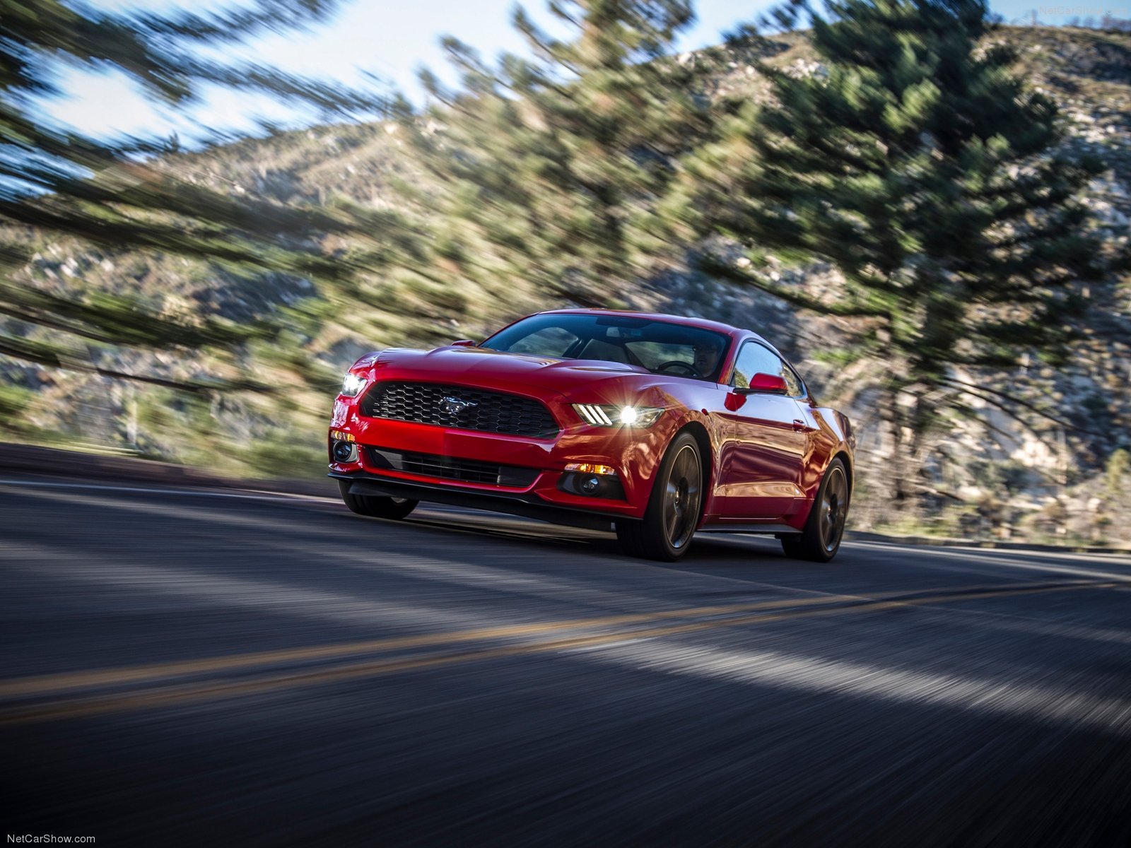 Ford Mustang EcoBoost photo 129805