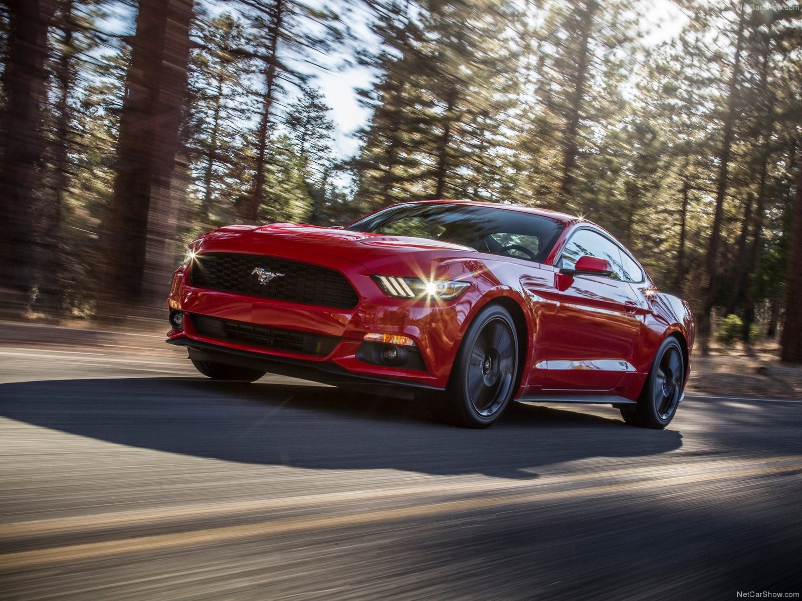 Ford Mustang EcoBoost photo 129808