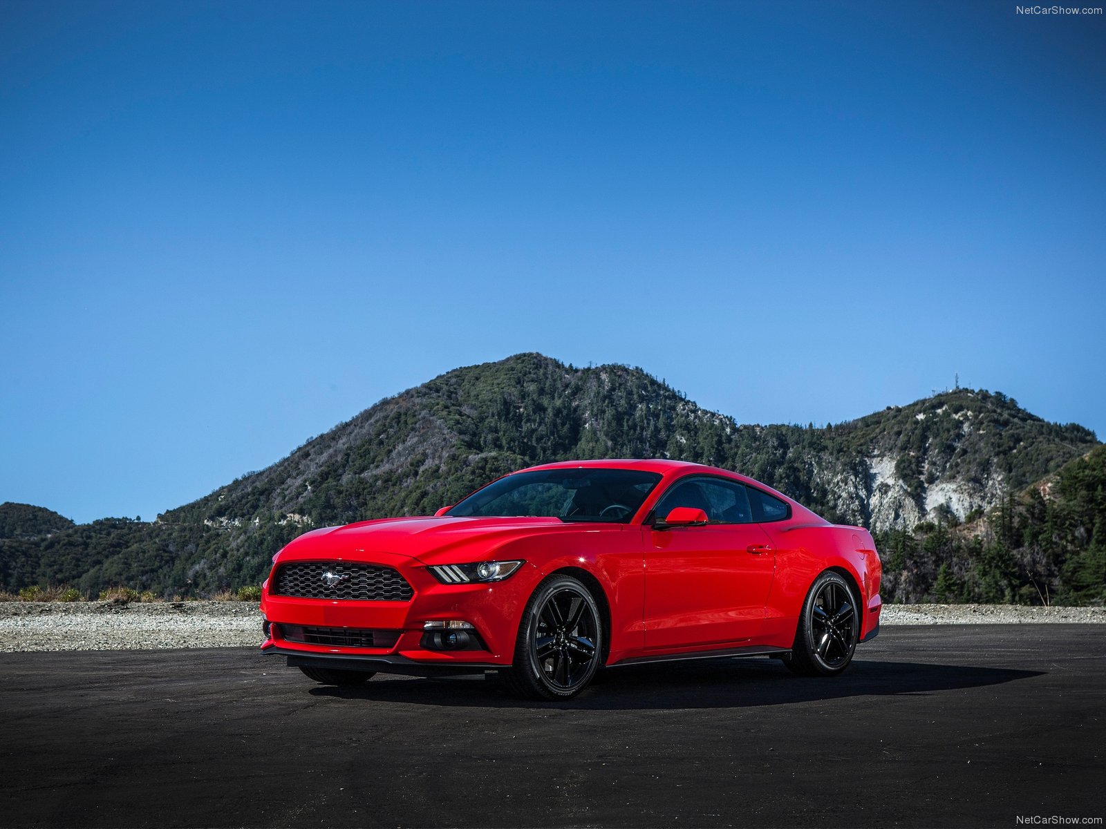 Ford Mustang EcoBoost photo 129811