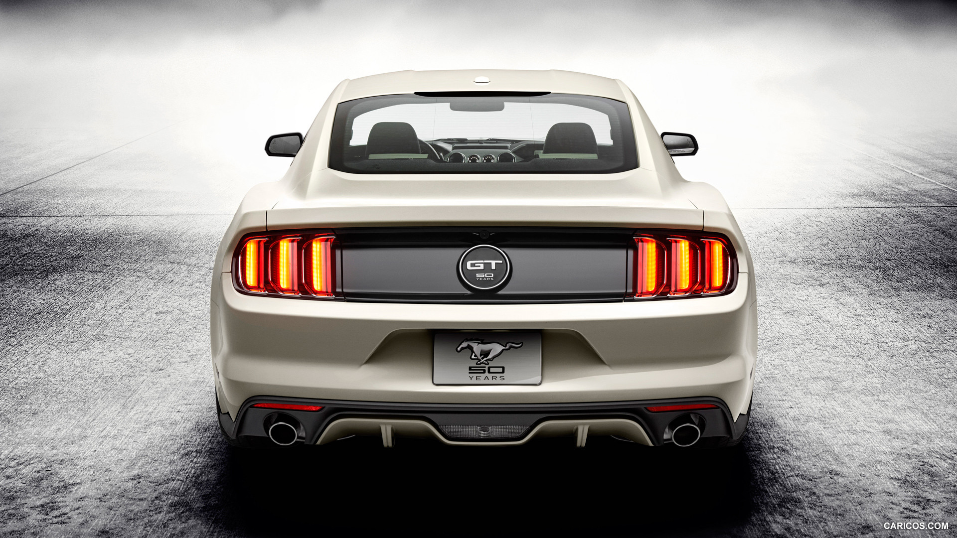 Ford Mustang GT 50 Year Limited Edition photo 117282