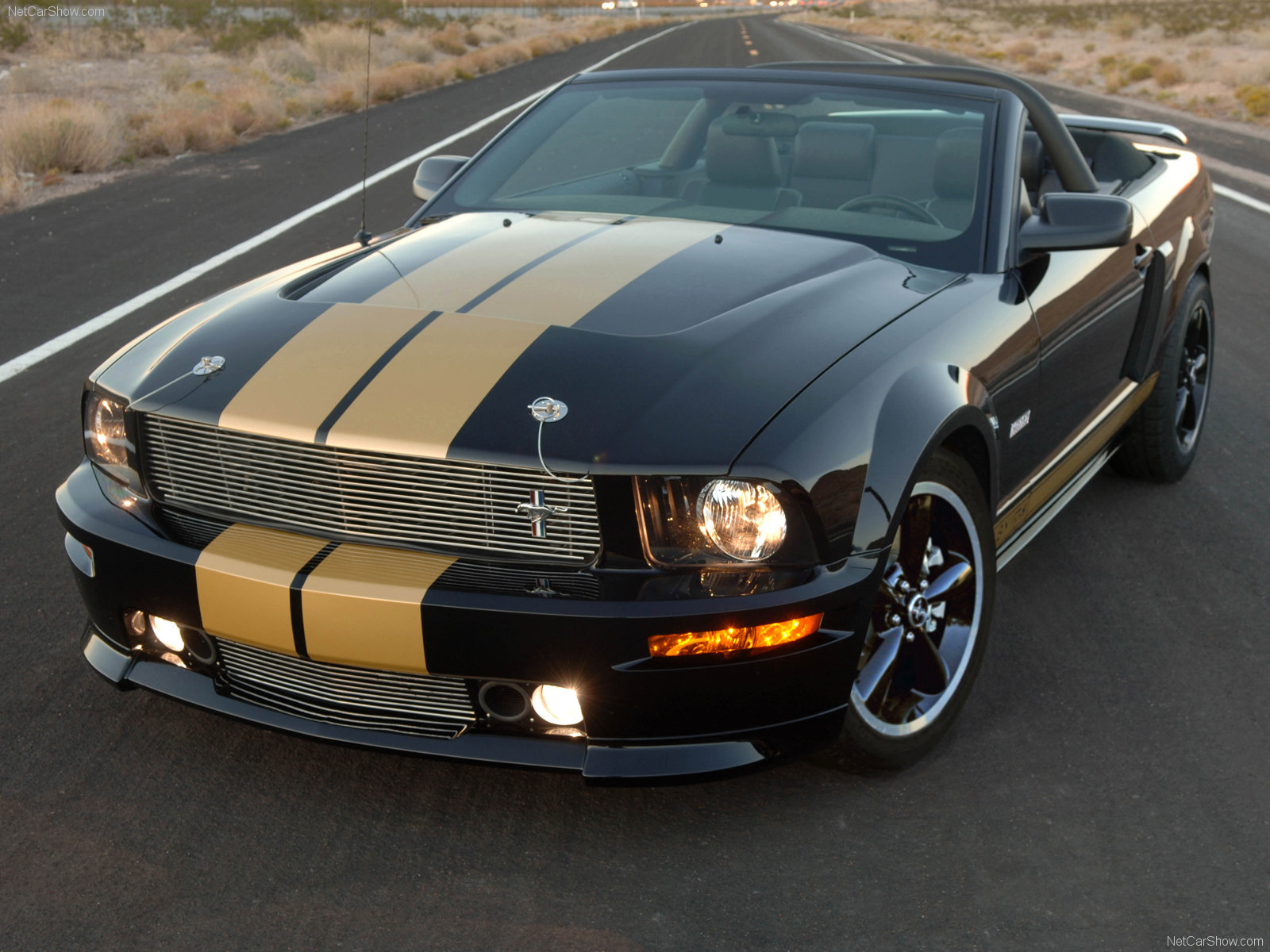 Ford Mustang Shelby GT-H Covertible photo 42696
