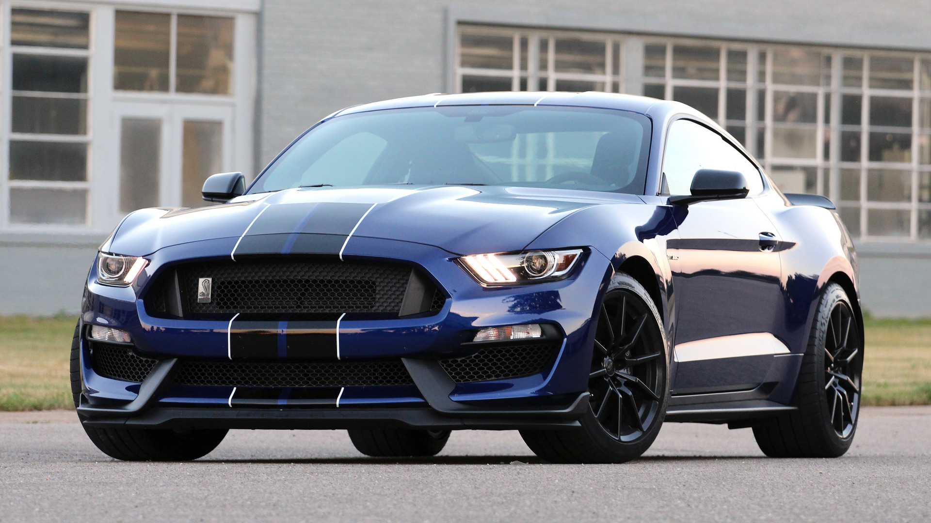 Ford Mustang Shelby GT350 photo 166260