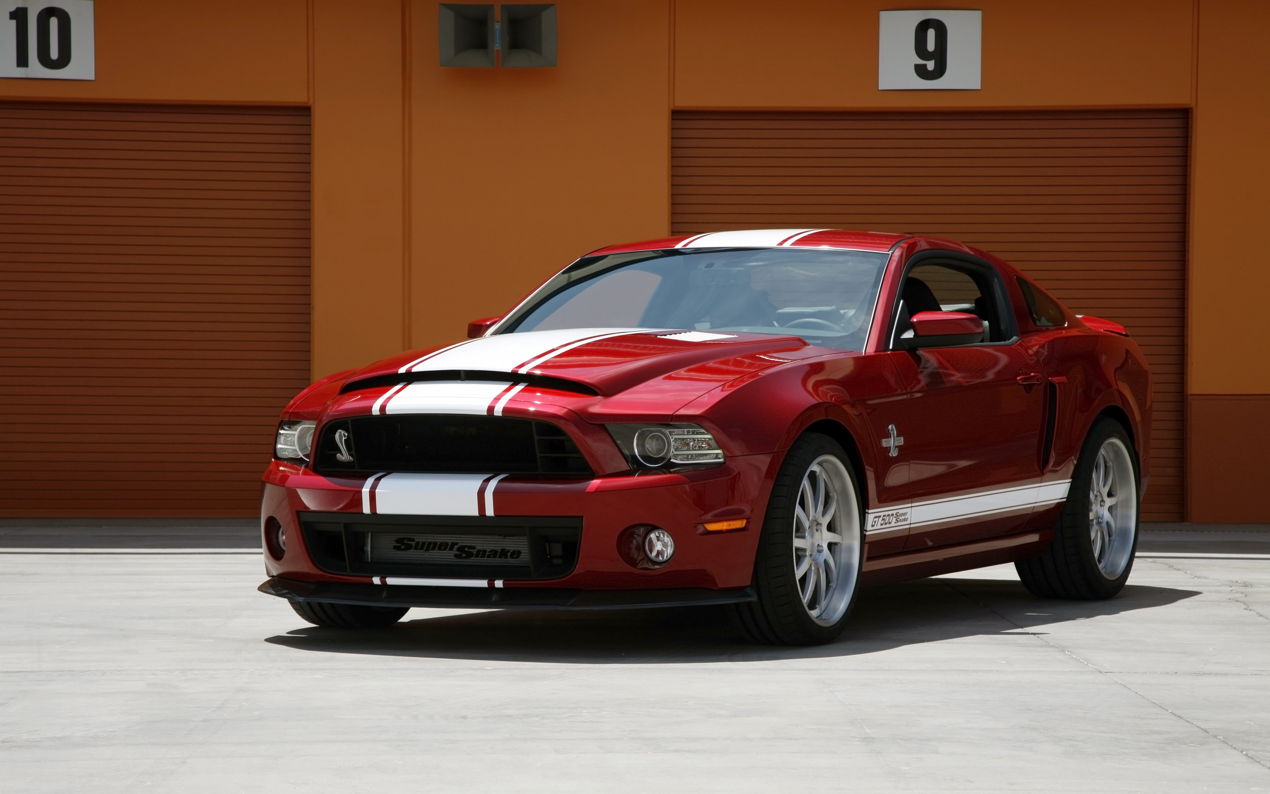 Ford Mustang Shelby GT500 Super Snake photo 131141