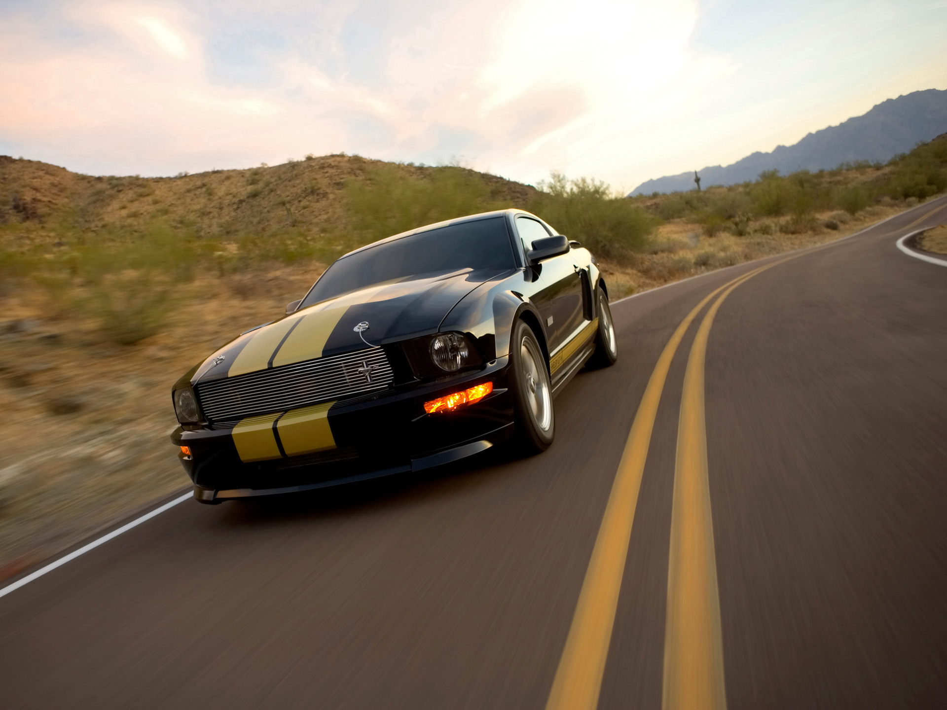Ford Mustang Shelby photo 33581