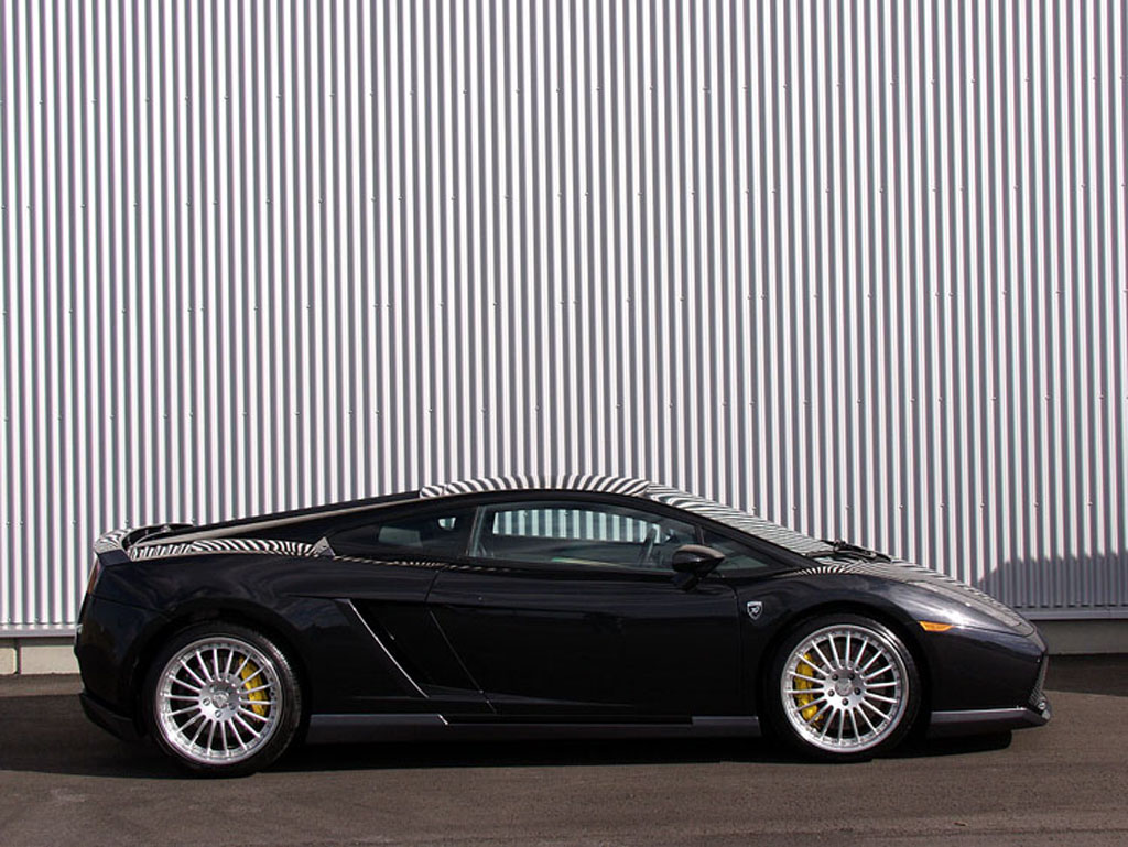 Hamann Lamborghini Gallardo photo 13815