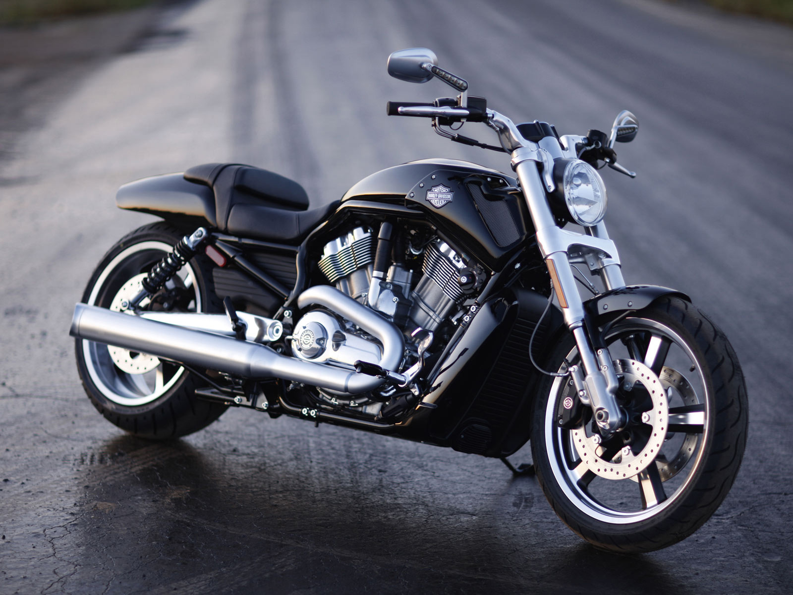 Harley-Davidson VRSCF V-Rod Muscle photo 70099