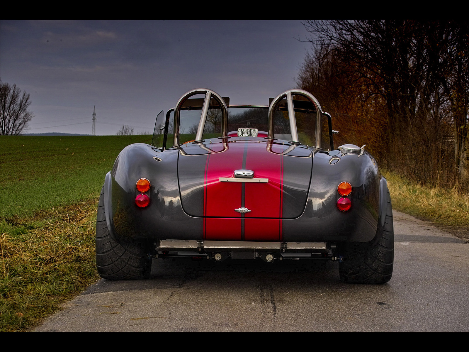 Weineck Cobra 780 cui Limited Edition photo 31044