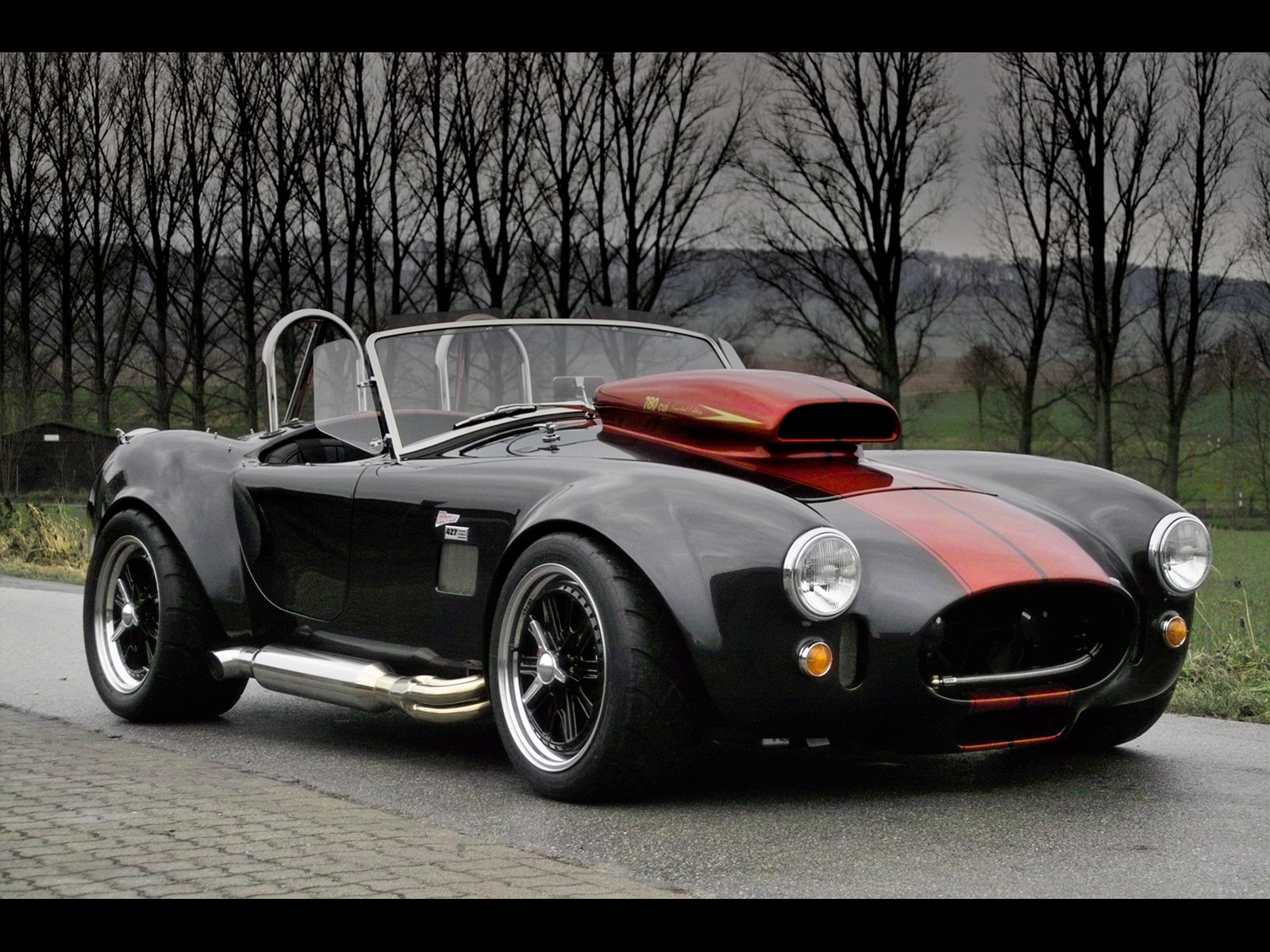 Weineck Cobra 780 cui Limited Edition photo 31047