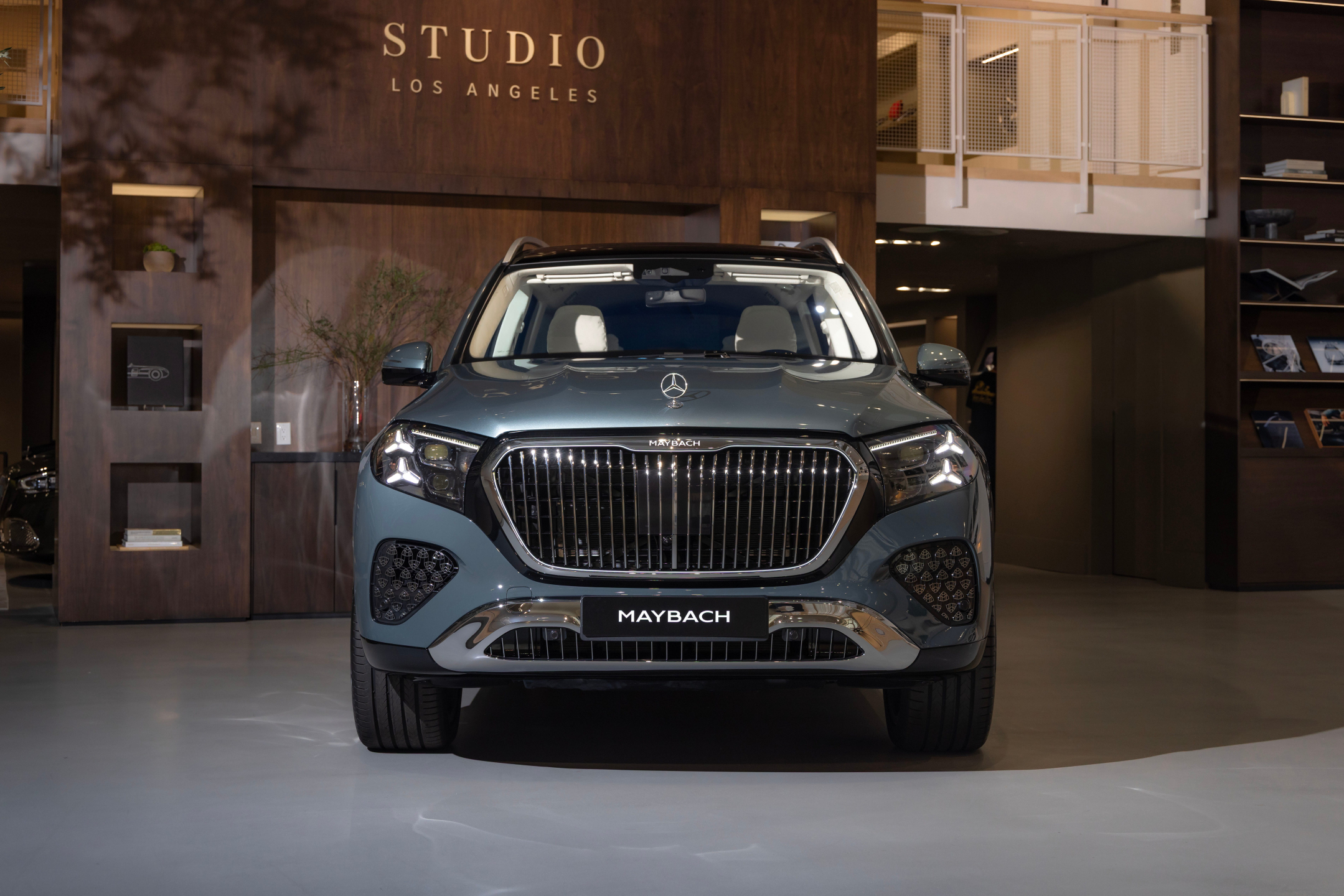 Maybach GLS I (X167) photo 210206