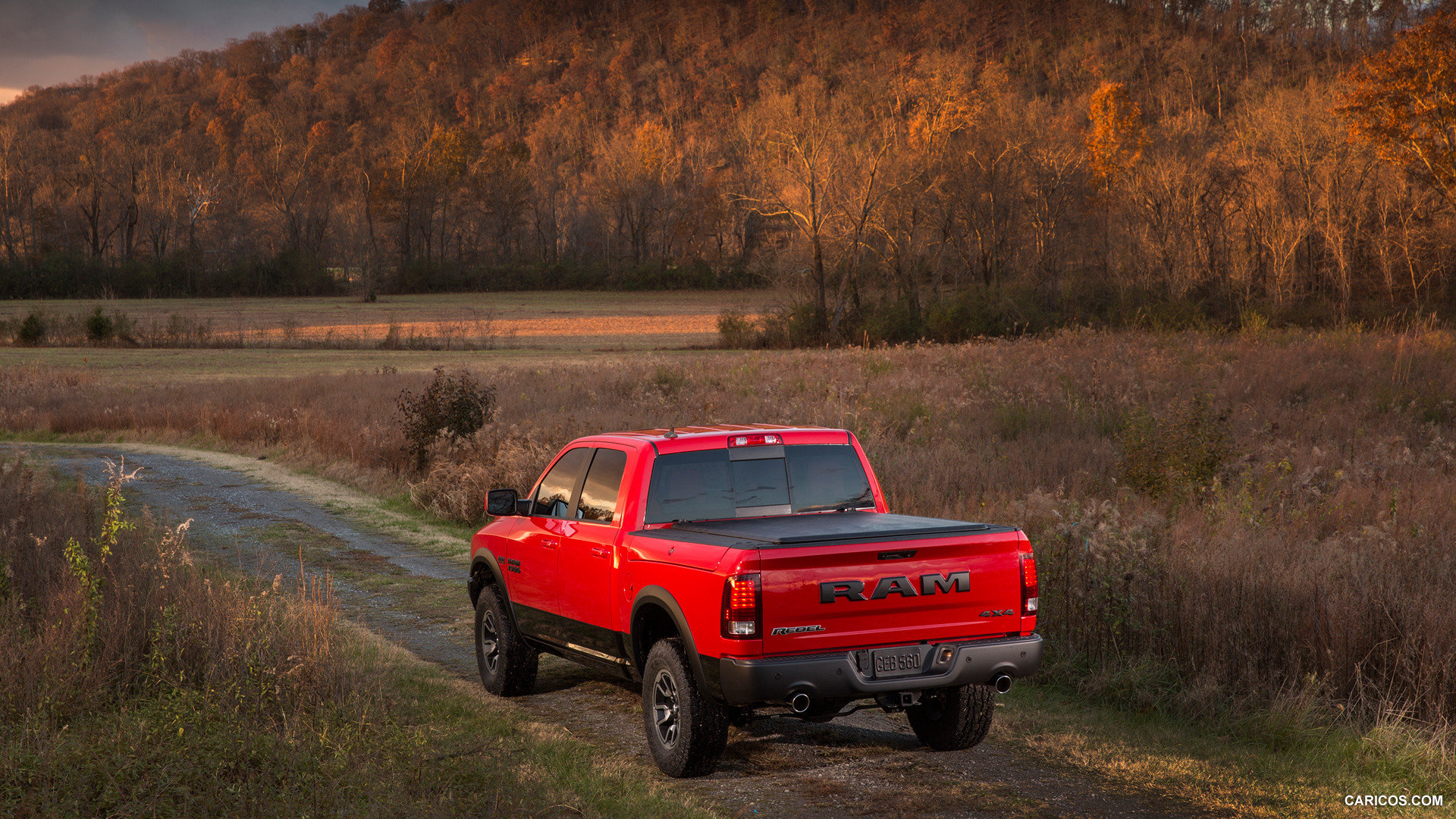 Dodge Ram 1500 IV (DS/DJ) photo 135900