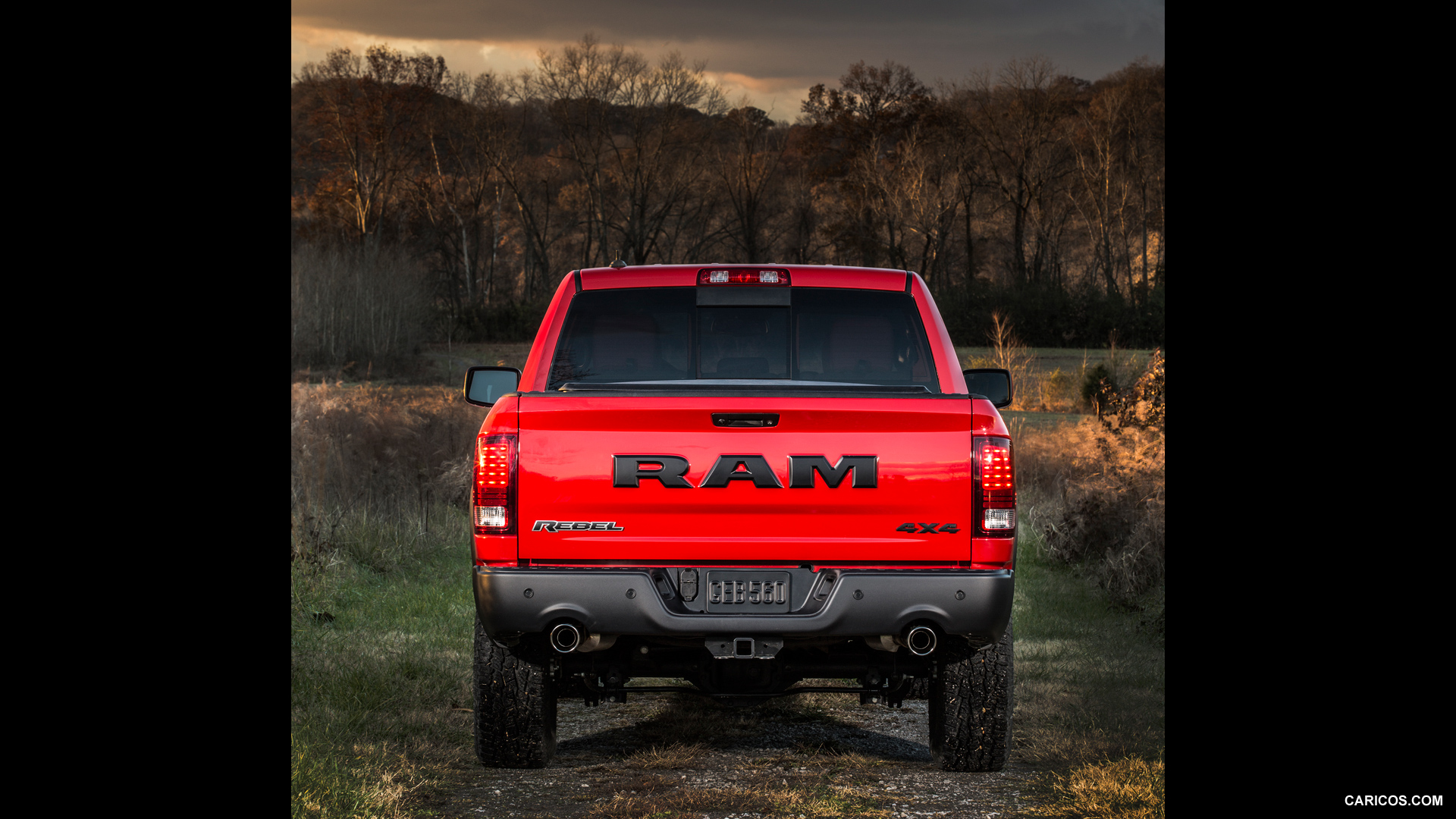 Dodge Ram 1500 IV (DS/DJ) photo 135901