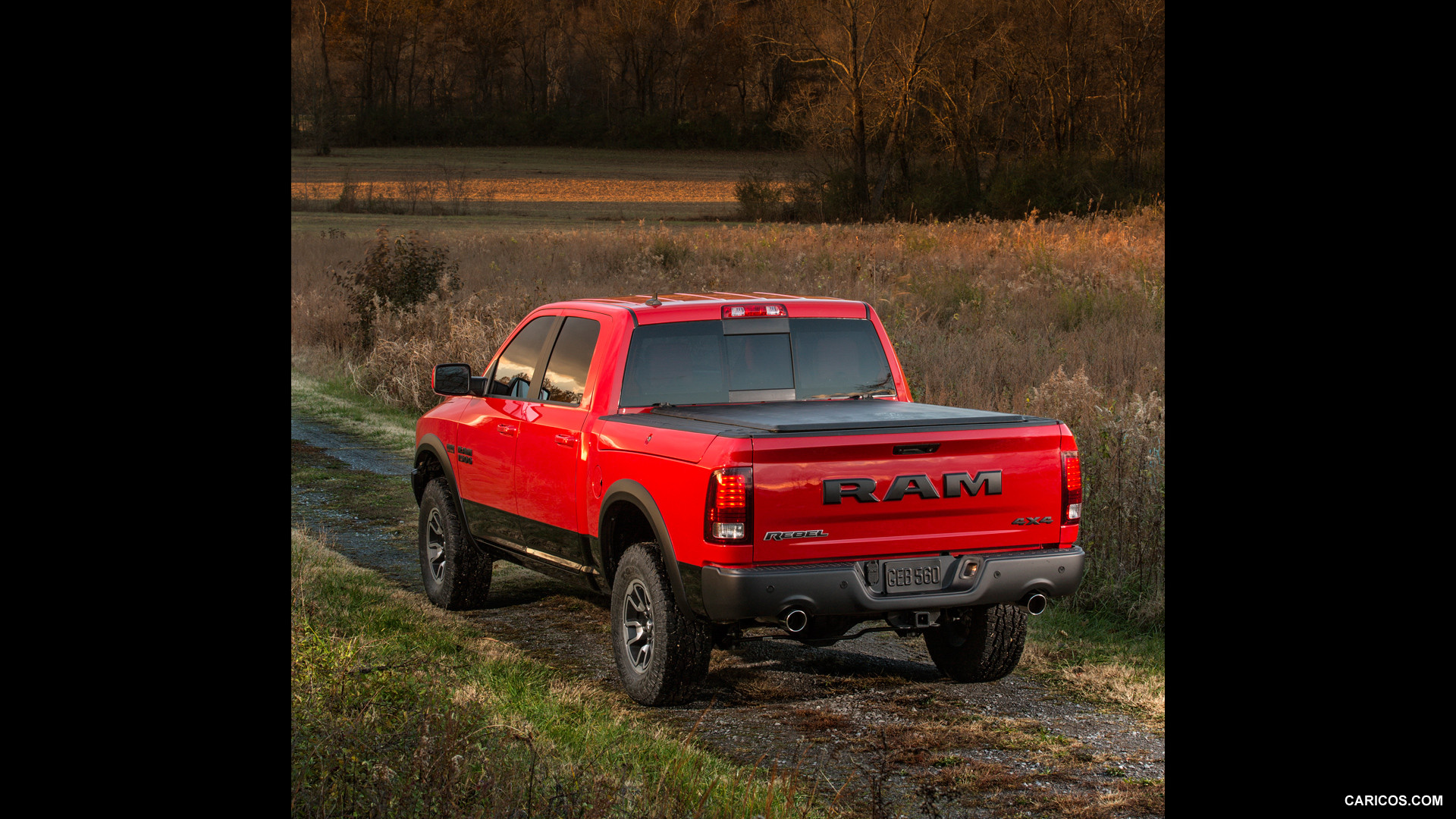 Dodge Ram 1500 IV (DS/DJ) photo 135902