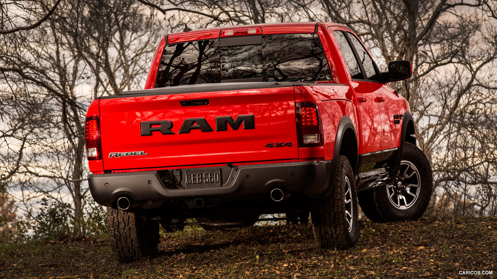 Dodge Ram 1500 IV (DS/DJ) photo 135934