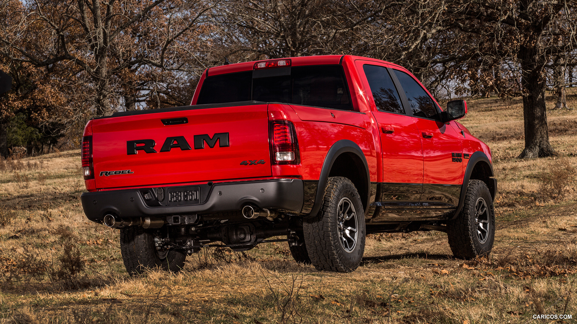 Dodge Ram 1500 IV (DS/DJ) photo 135943