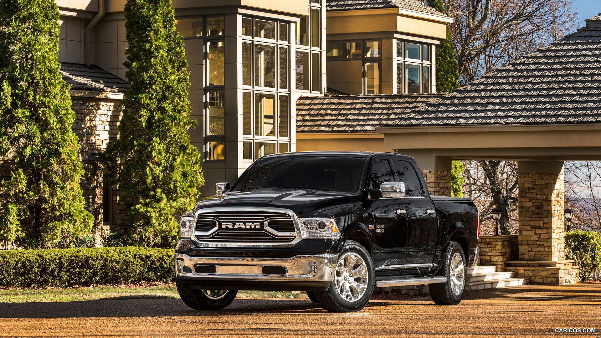 Dodge Ram 1500 IV (DS/DJ) photo 136863