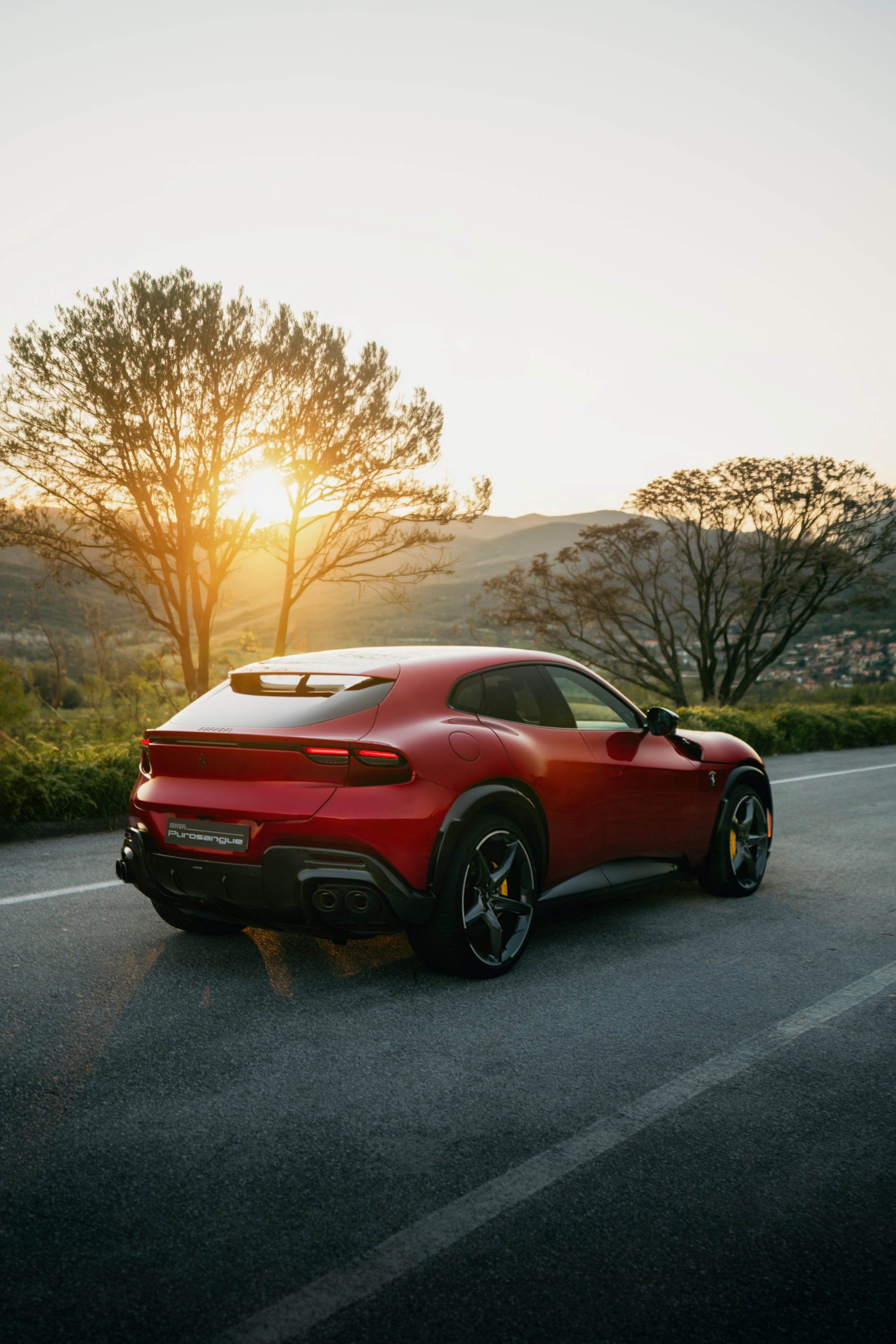 Ferrari Purosangue photo 208141