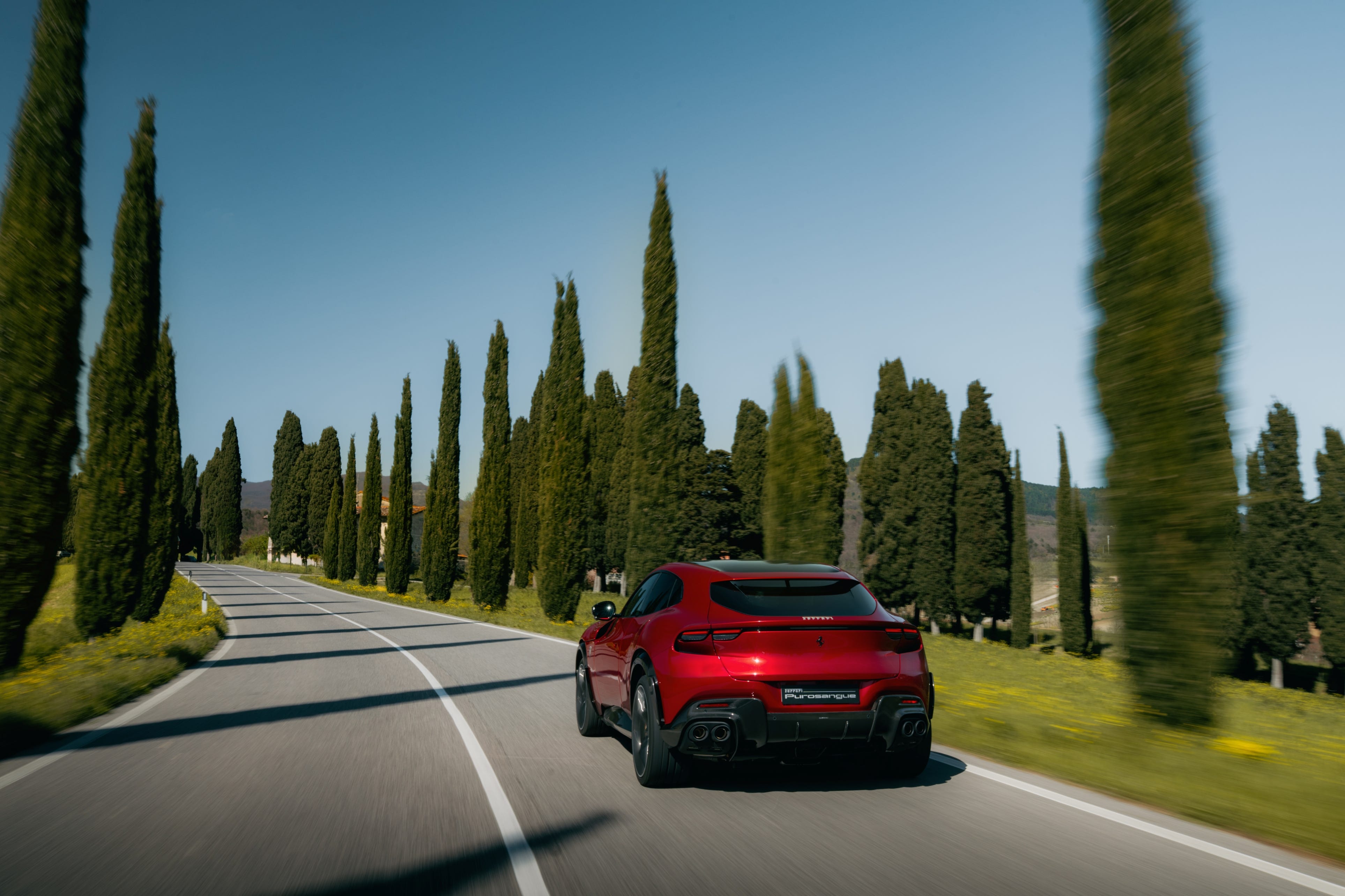 Ferrari Purosangue photo 208142