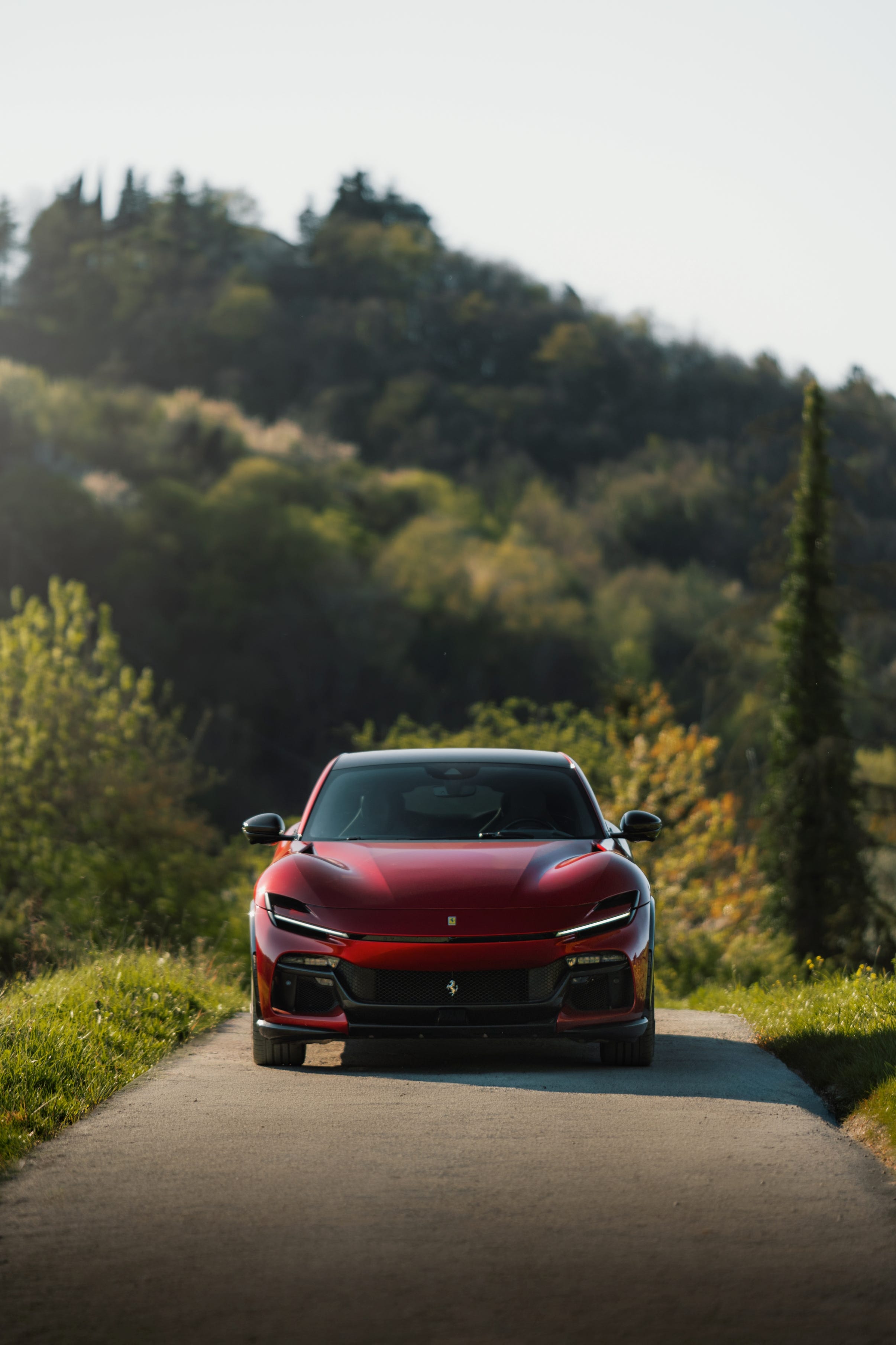 Ferrari Purosangue photo 208144