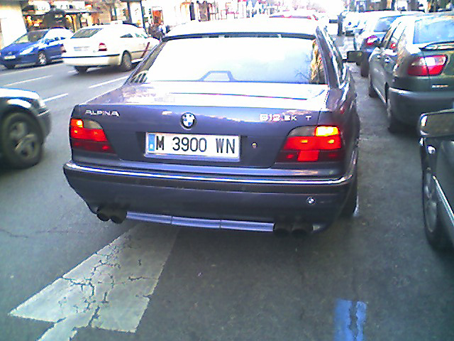 Alpina alpina photo 21805