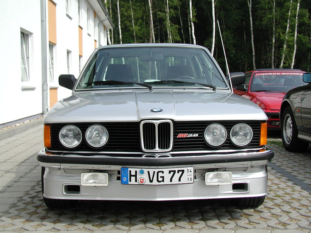 Alpina alpina photo 36226