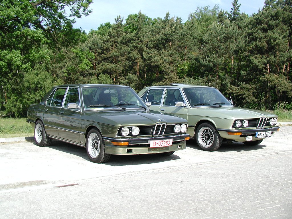 Alpina alpina photo 36231