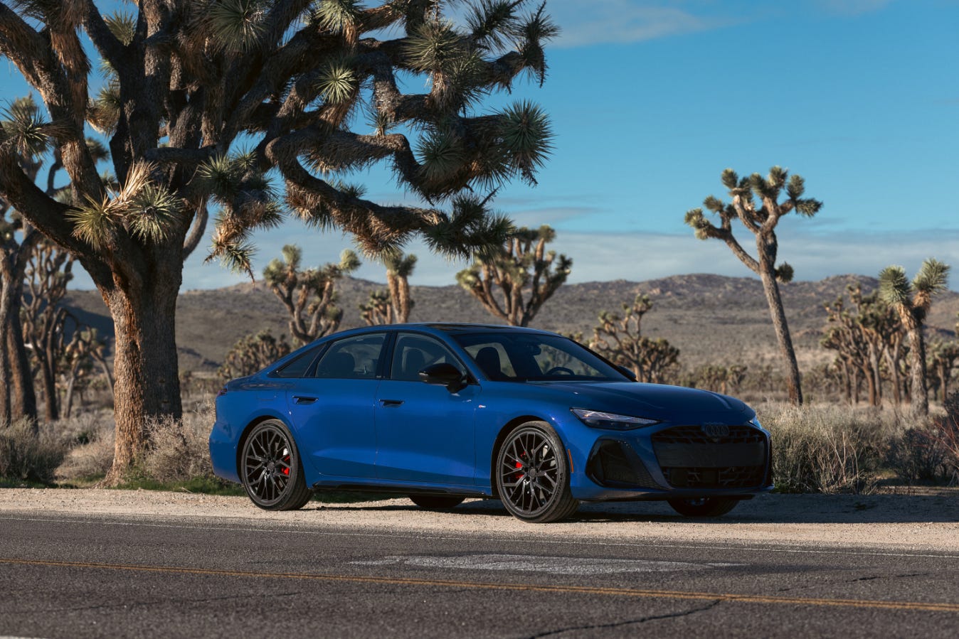 Audi A6 photo 207815